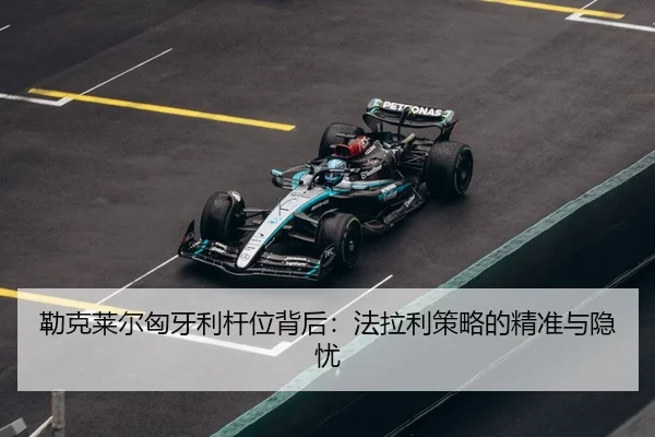 lei-ke-lai-er-xiong-ya-li-gan-wei-bei-hou-fa-la-li-ce-lve-de-jing-zhun-yu-yin-you-3-154.jpg