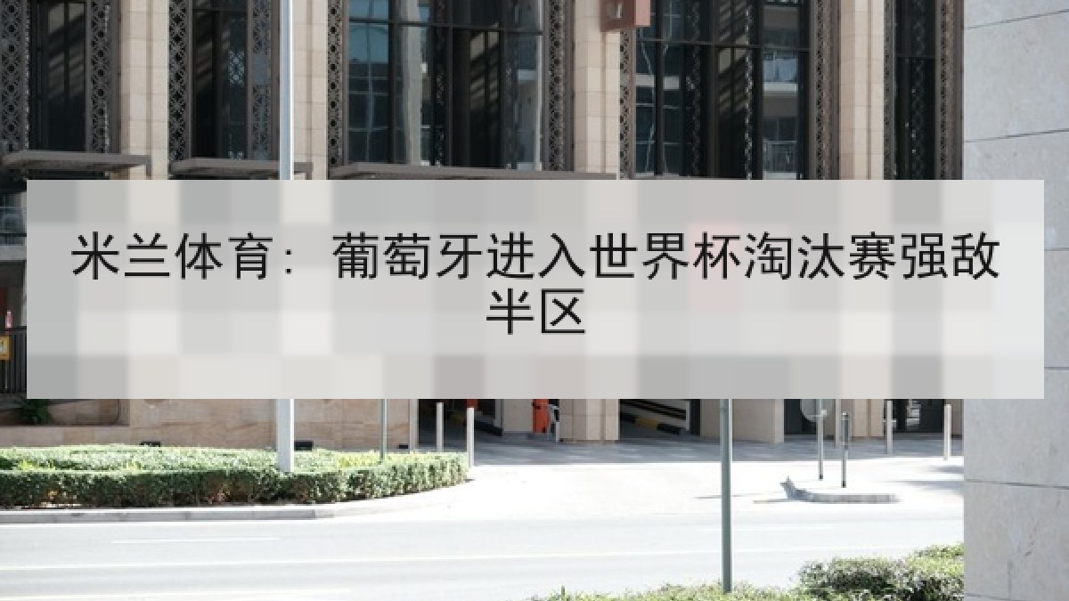 米兰体育: 葡萄牙进入世界杯淘汰赛强敌半区