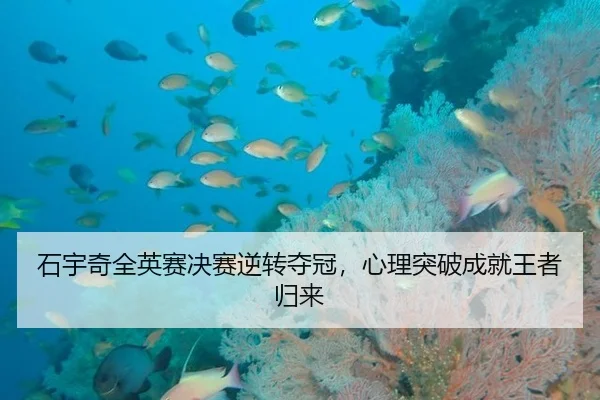 石宇奇全英赛决赛逆转夺冠，心理突破成就王者归来