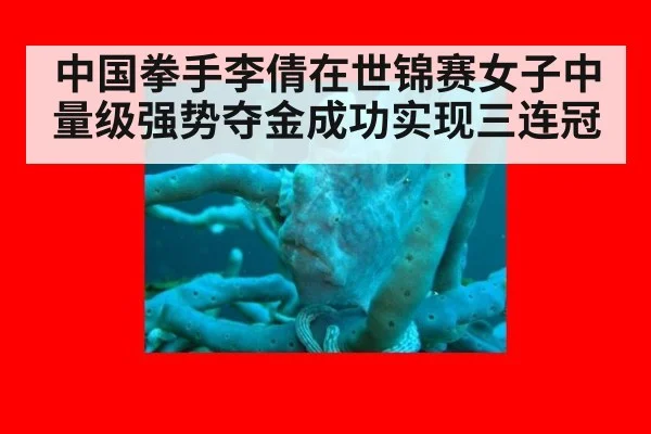 中国拳手李倩在世锦赛女子中量级强势夺金成功实现三连冠